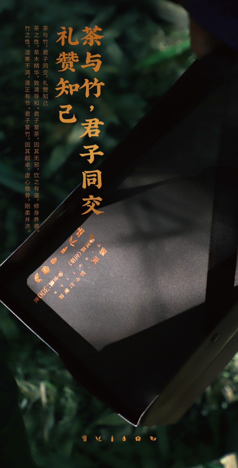 擎天h5_03 (6).jpg